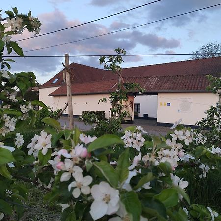 Het Hemelsveld Bed & Breakfast Hasselt Dış mekan fotoğraf