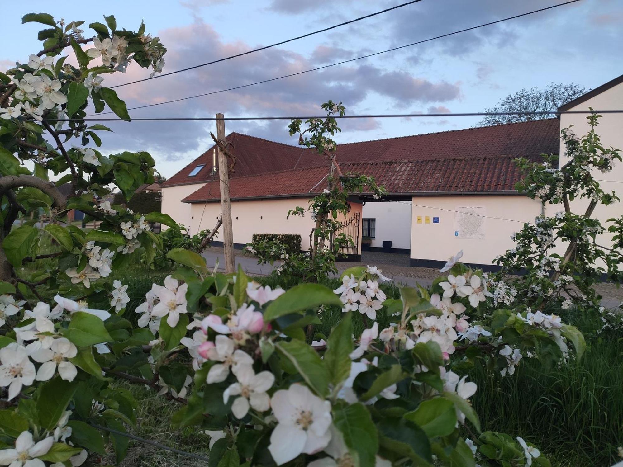 Het Hemelsveld Bed & Breakfast Hasselt Dış mekan fotoğraf