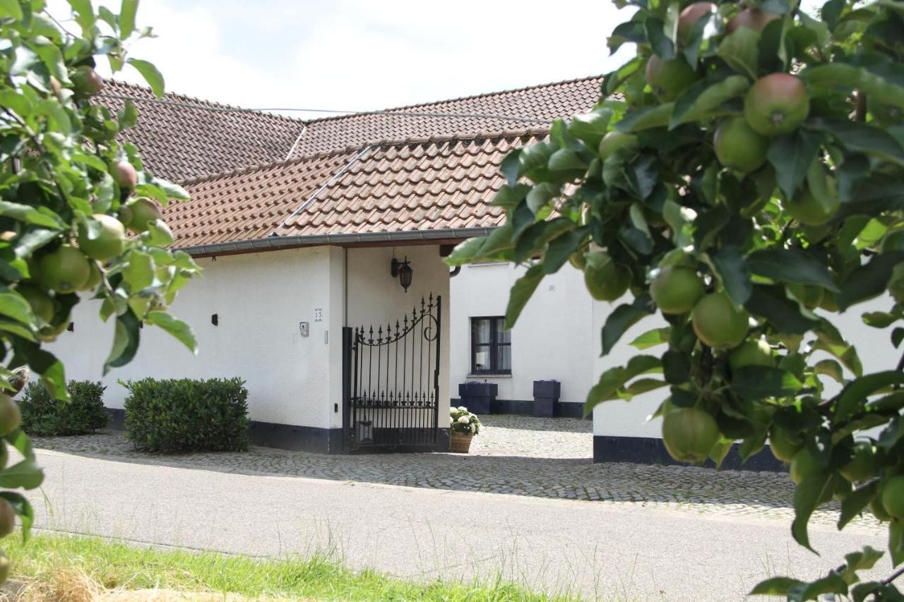 Het Hemelsveld Bed & Breakfast Hasselt Dış mekan fotoğraf